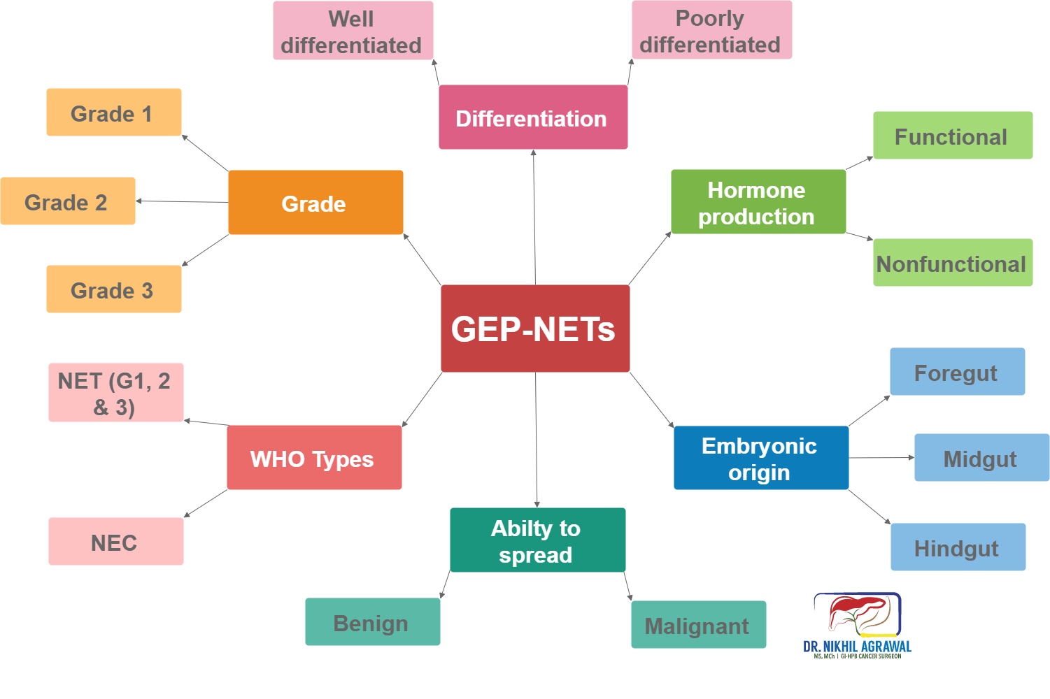 Classification of neuroendocrine tumours