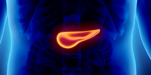 pancreas