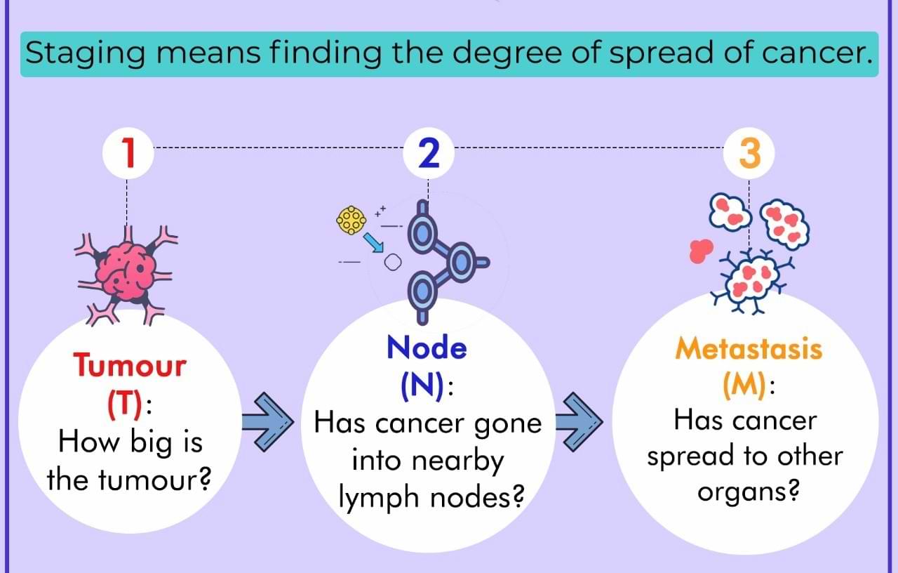 TNM staging