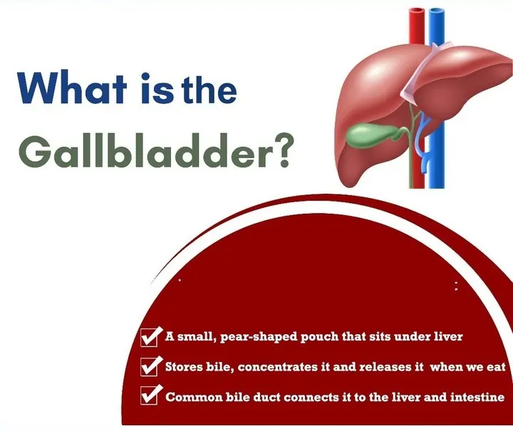 What is gallbladder?